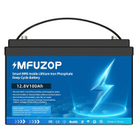Акумулятор MFUZOP LiFePO4 12,8 V 100 Ah 1280 W